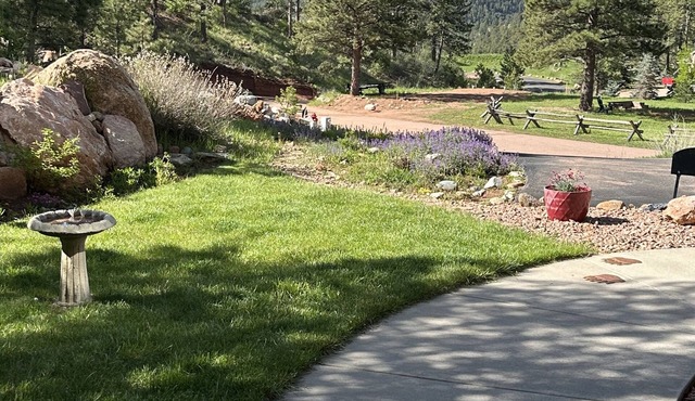 Mountain Glen Vista - incredible Pikes Peak view! License # 331228