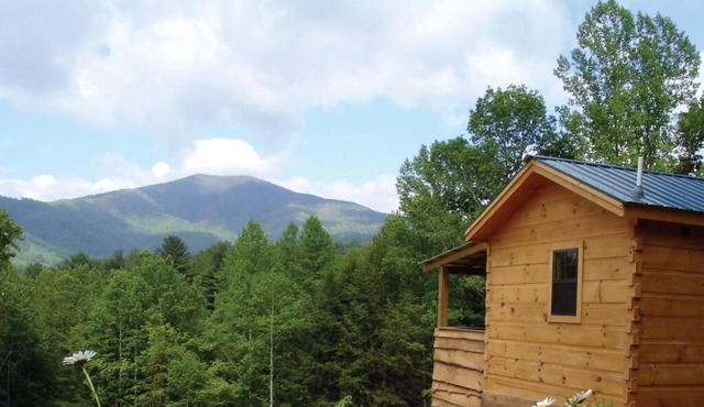 Pet-Friendly Mountain Log Cabin for Couples