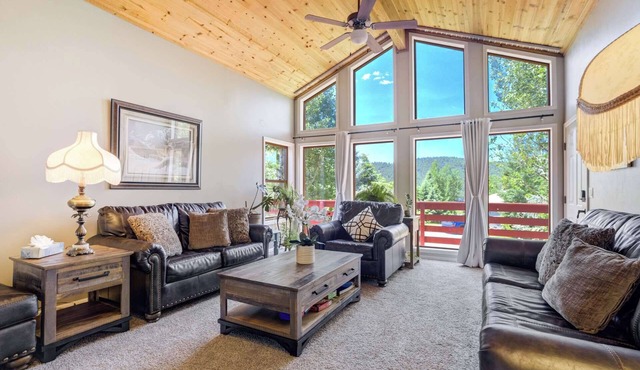 Pikes Peak Wildlife Sleeps 12 2Kitchens Family Retreat Charis BL #008138