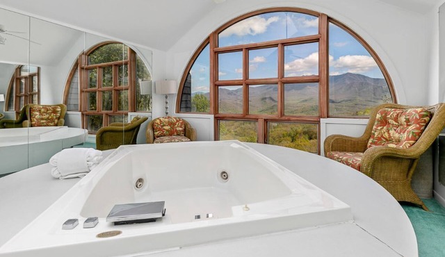 Poppes VIEW, HotTub, Elevator, 2 K Sts, PoolTbl