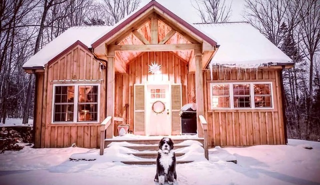 Pristine and Cozy Cabin Rental Overlooking Pond near Rochester, New York