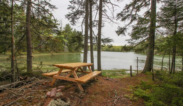 Private riverfront retreat with foosball & firepit - overlooks nature preserve