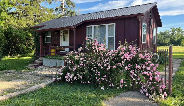 Quiet & charming cabin with AC near Hamilton in Hamilton