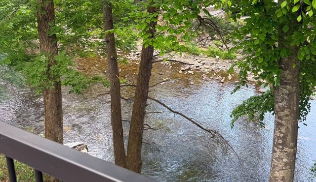 Riverfront | Dog Friendly | Close to GSMNP