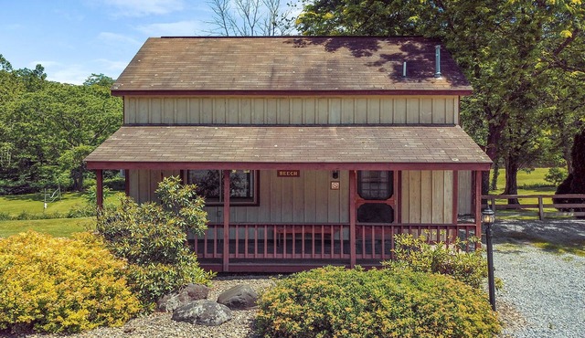 Rough Cut Lodge - Beech Cabin in Gaines