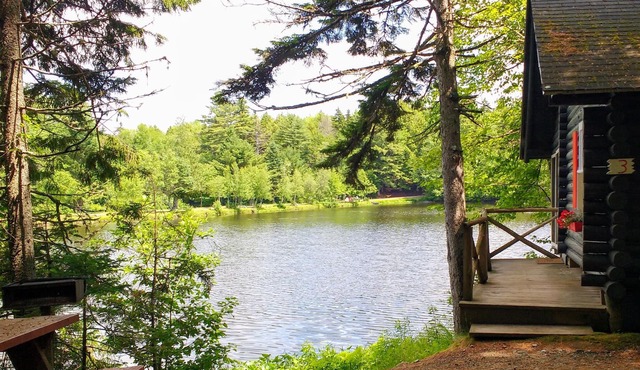 Rustic log cottage, Lake-view, Pet-friendly, Downeast Maine
