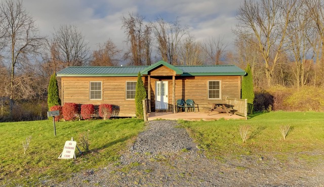 Shared Dock Access at Lakeside Sodus Bay Cabin 1! in North Rose