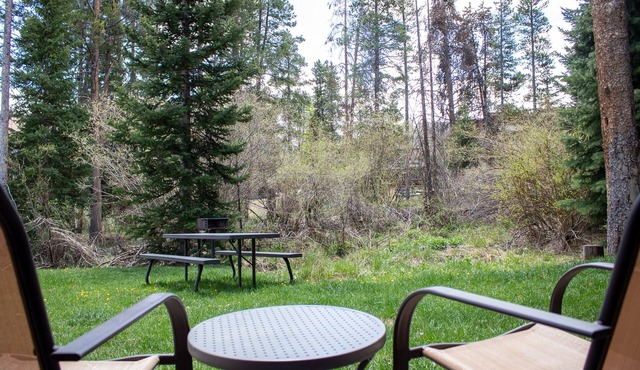 Ski-In. 3 Blocks To Town. Hot Tub. Private Deck.