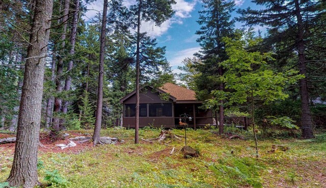 Spacious cabin in a secluded spot within pine woods - close to restaurants