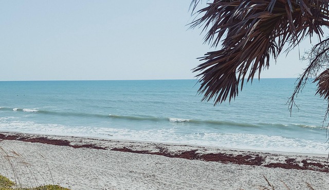 The Beach Bungalow