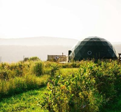 'The Bear Dome' with Barrel Hot Tub in Franklin