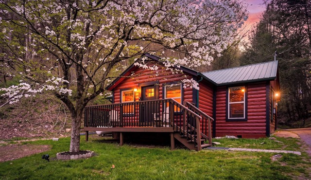Townsend Area*Cozy*Hot Tub*Single Story*Level Parking*WiFI