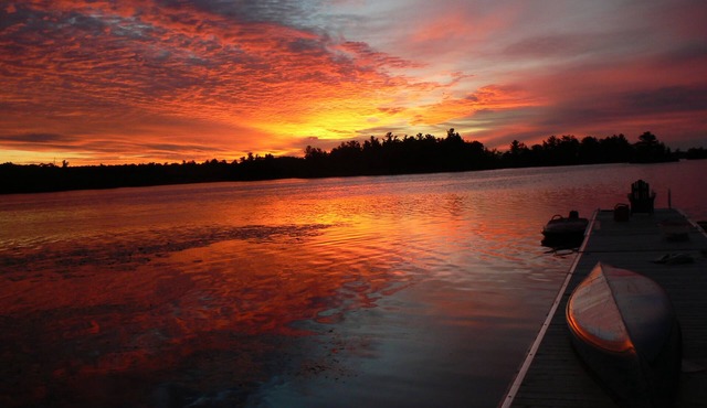 Two Private Islands, Super Quiet Part Of Lake, Yet Close To Action in North Kawartha