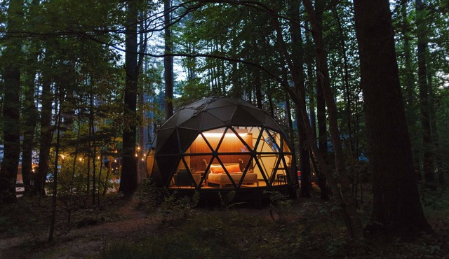 Unique dome w/huge window to the woods - 06