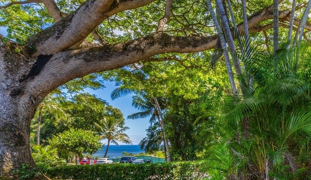 Walk to Beaches, Dining & More in Princeville,Charming Cottage-Like Townhouse