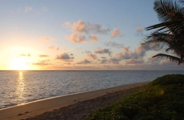 Beachfront Studio Cottage