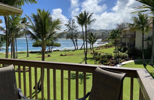 Plant Roh Kapaʻa 