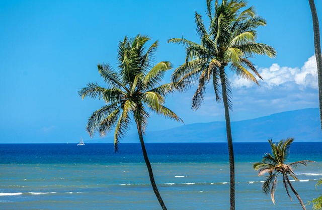 Leinaala Oceanfront #204 2nd Floor unit, Panoramic Ocean View, Great Rates!