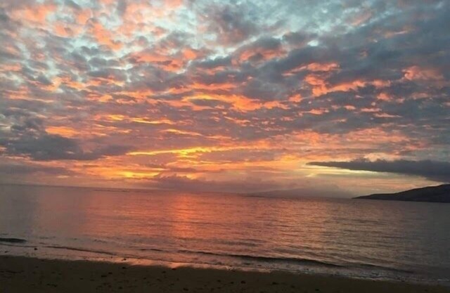 Lush Garden Charmer - Breathtaking Sunsets