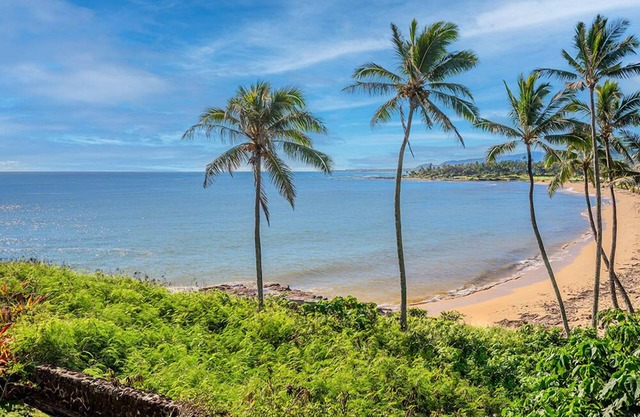 Wailua Bay 