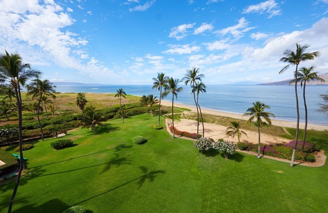 Penthouse oceanfront views of the jewel blue Pacific, whales, stunning sunsets