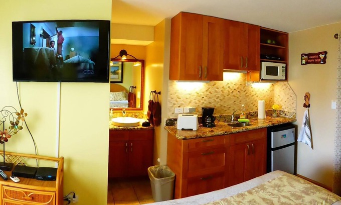 Waikiki Apartment | ALOHA-WAIKIKI OCEAN VIEWS near beach 102