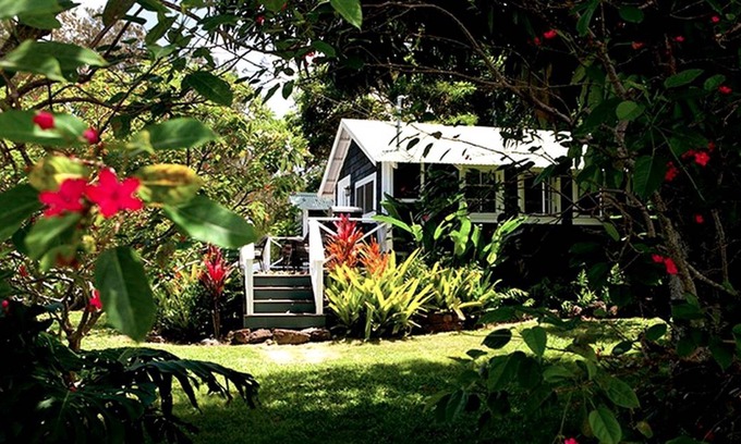 Hawi House | House ∙ 1 bedroom ∙ 2 guests