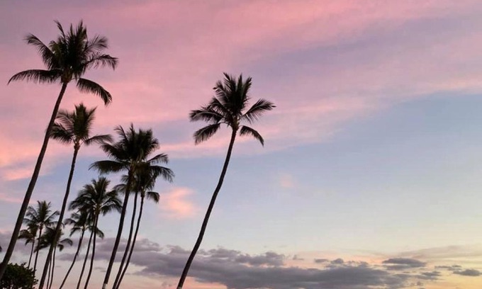 Kihei Apartment | Live da HI life-great beach and great views!