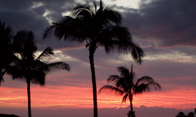 Maunaloa Condo | Unobstructed Ocean View - Lovely 1/1