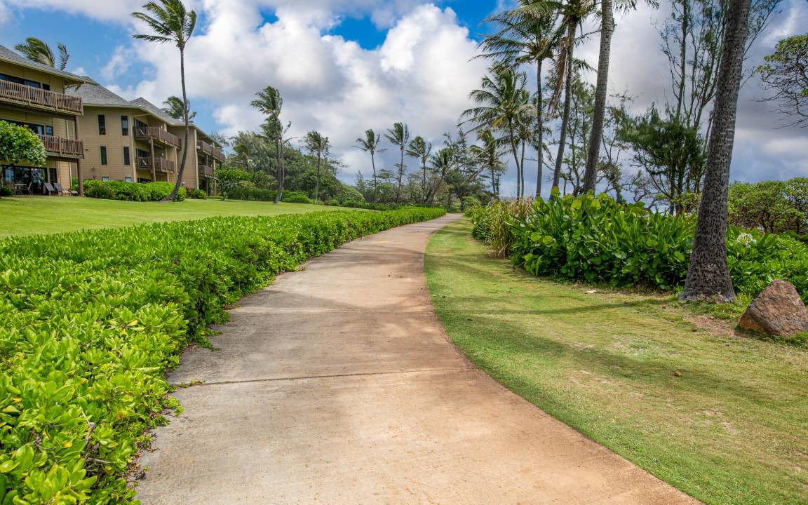Photo of Others in Lihue