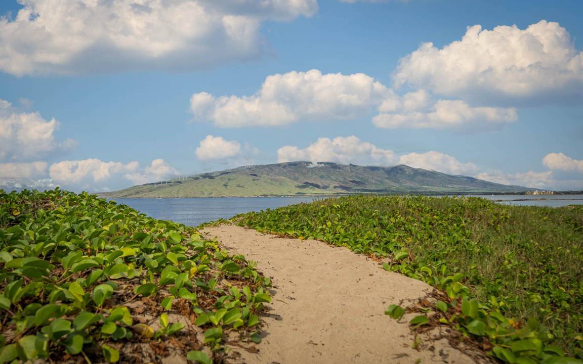 Photo of Others in Kihei