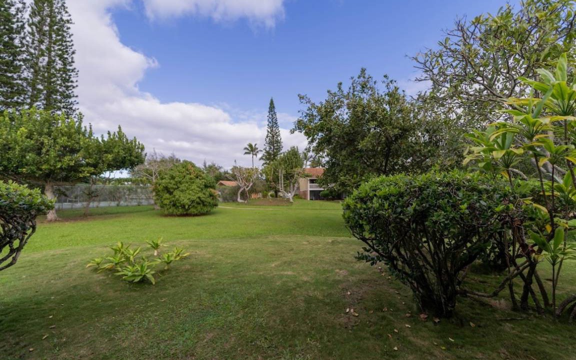 Photo of Others in Kahuku