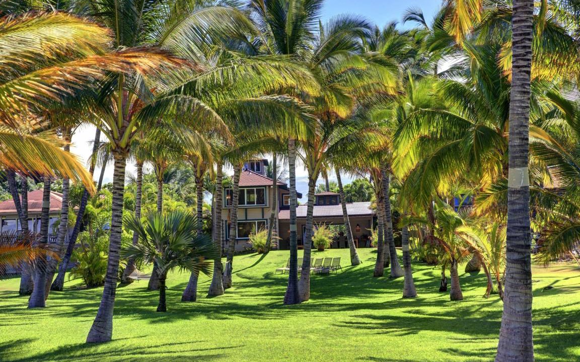 Photo of Others in Kihei