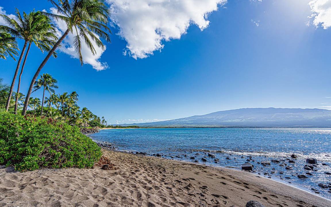 Photo of Others in Maalaea