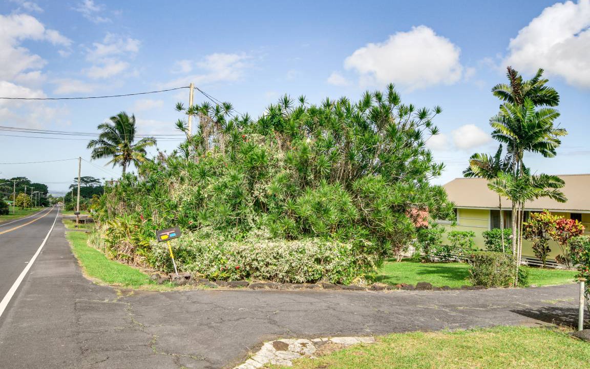Photo of Others in Hilo