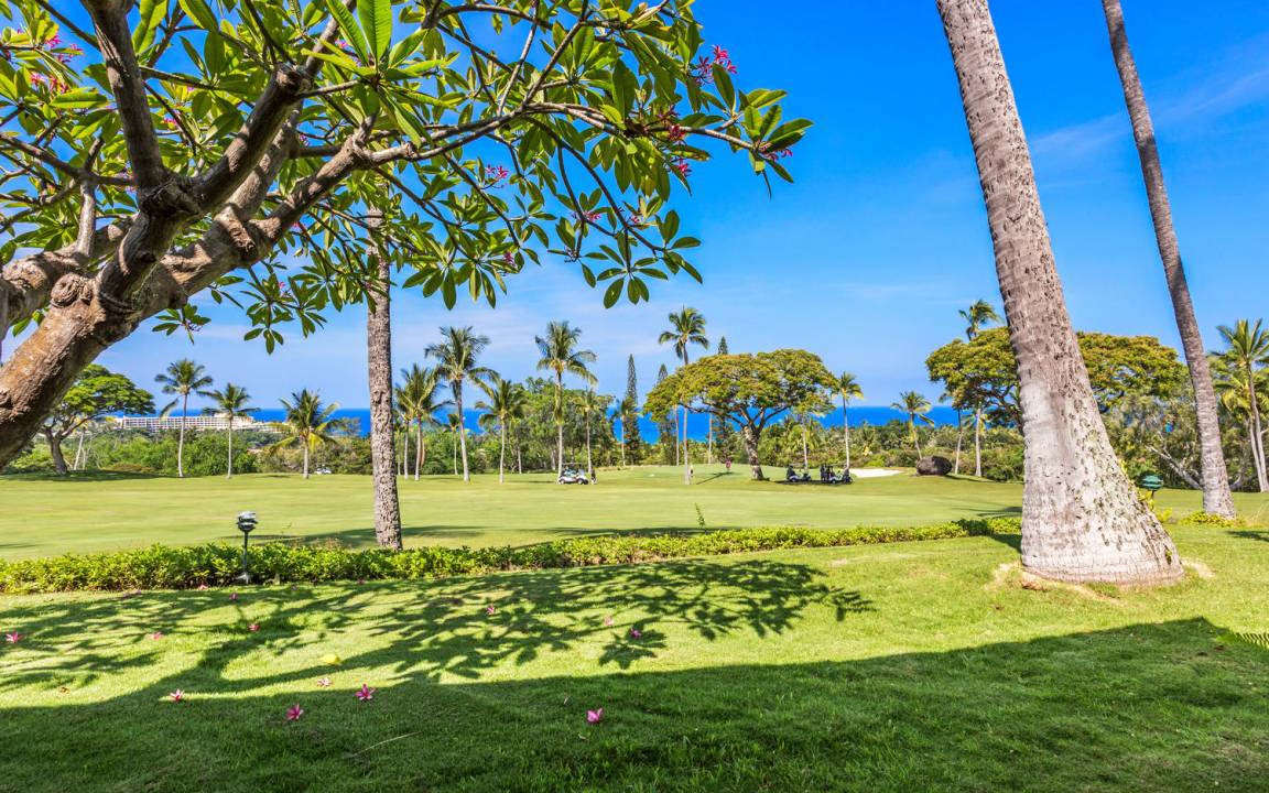 Photo of Others in Keauhou