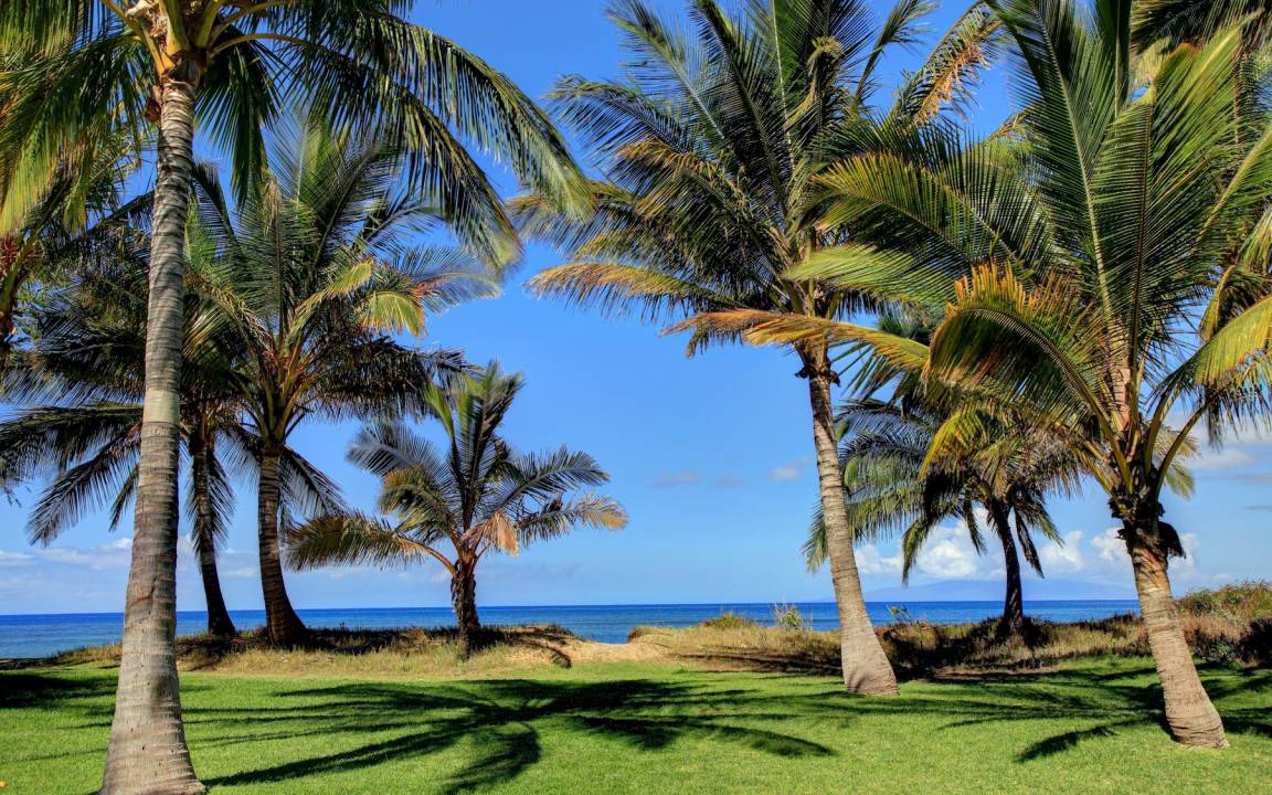 Photo of Others in Kihei