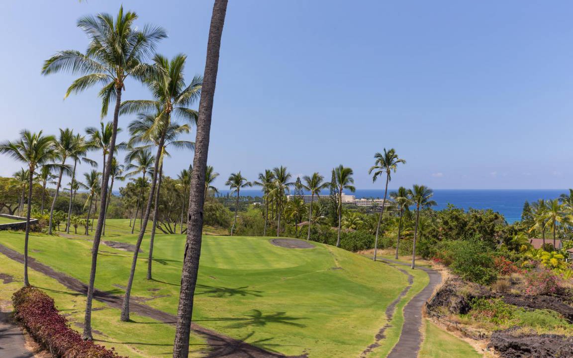 Photo of Others in Keauhou