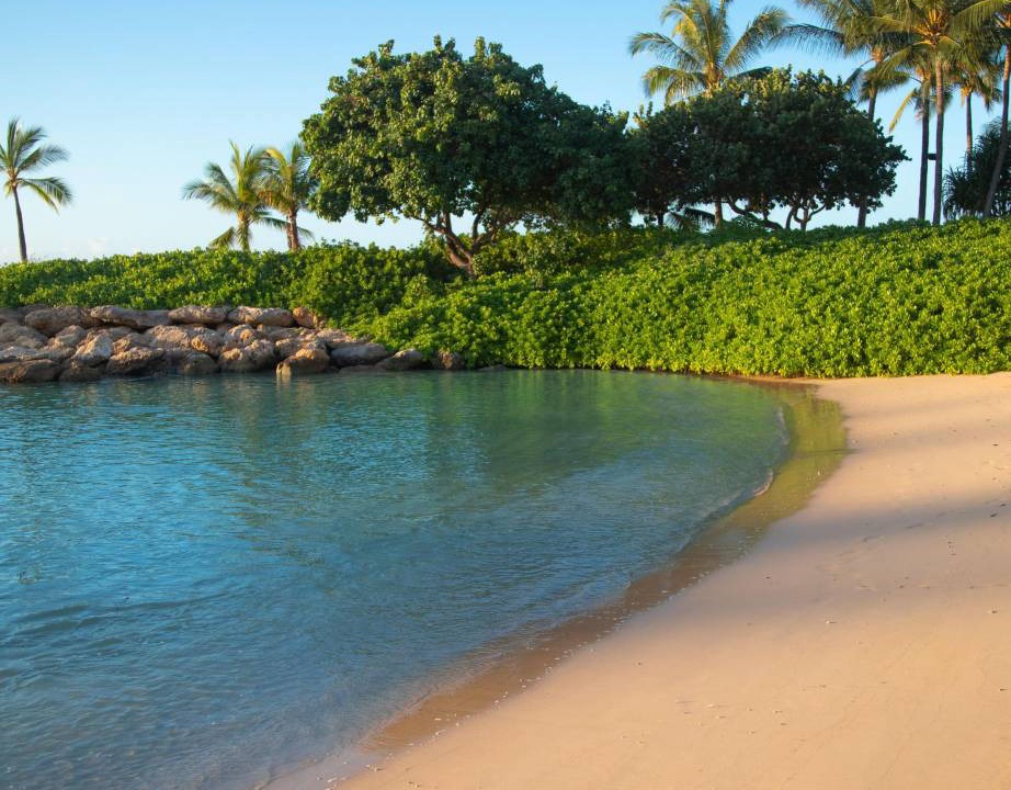 Photo of Others in Holualoa