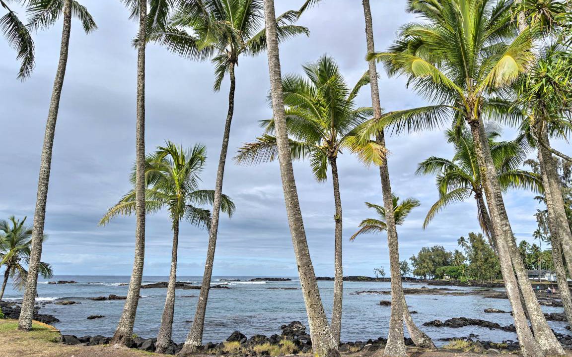 Photo of Others in Hilo