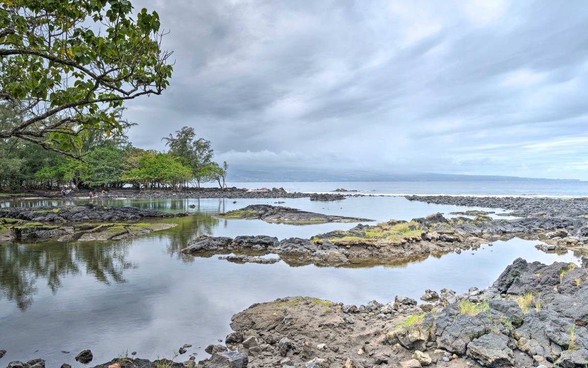Photo of Others in Hilo