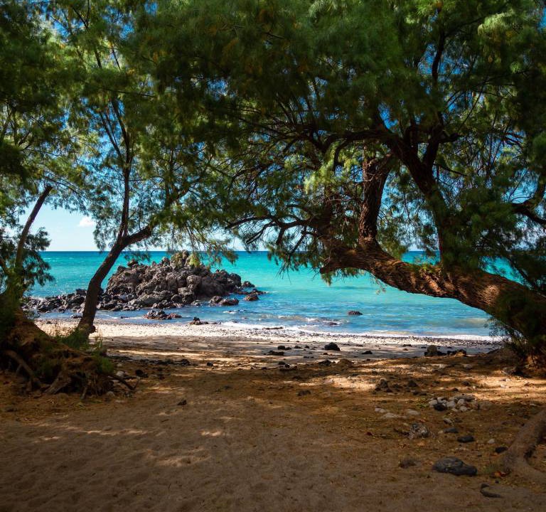 Photo of Others in Holualoa