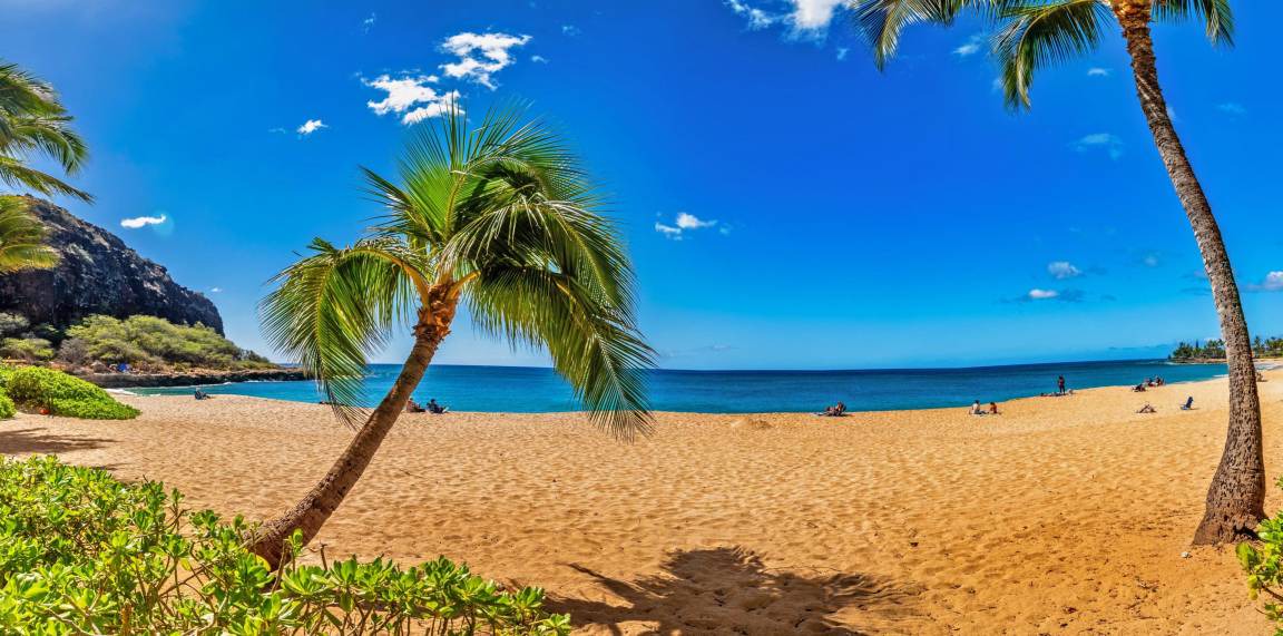 Photo of Others in Makaha