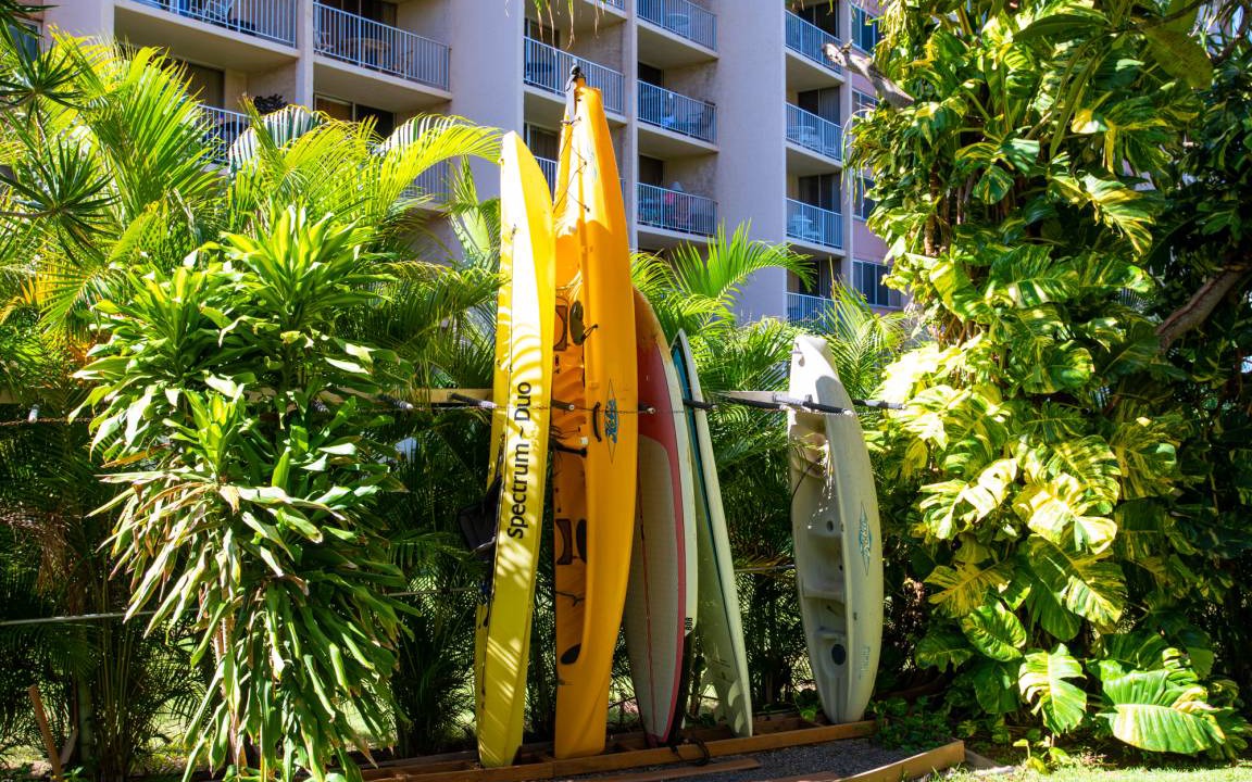 Photo of Others in Kahana