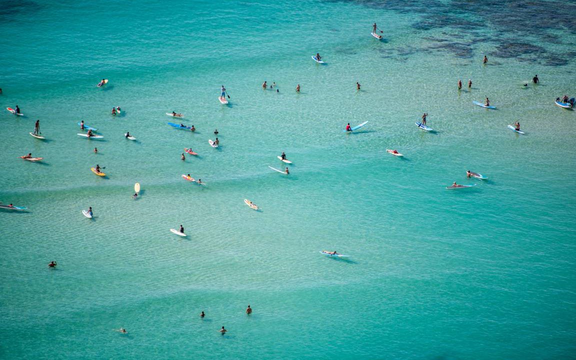 Photo of Others in McCully - Moiliili