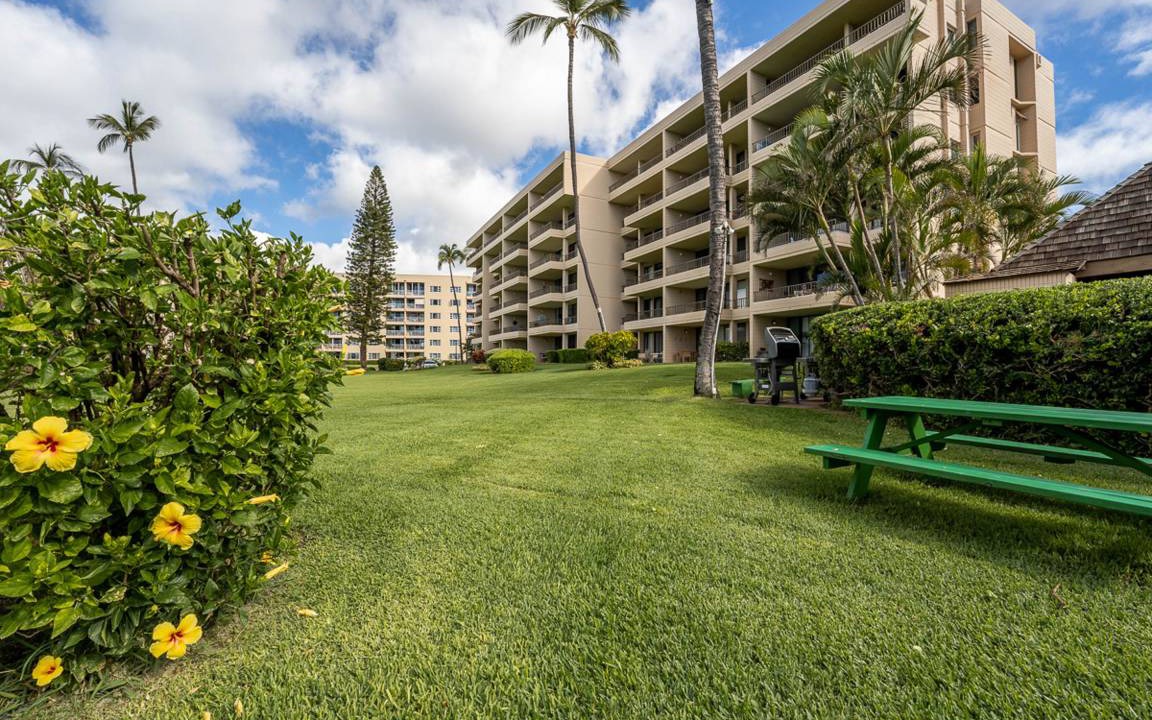 Photo of Others in Kihei