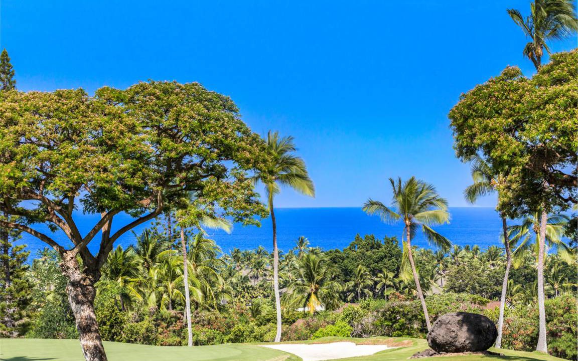 Photo of Others in Keauhou