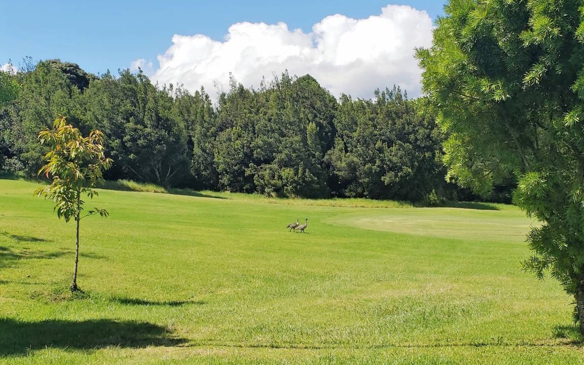 Photo of Others in Royal Hawaiian Estates