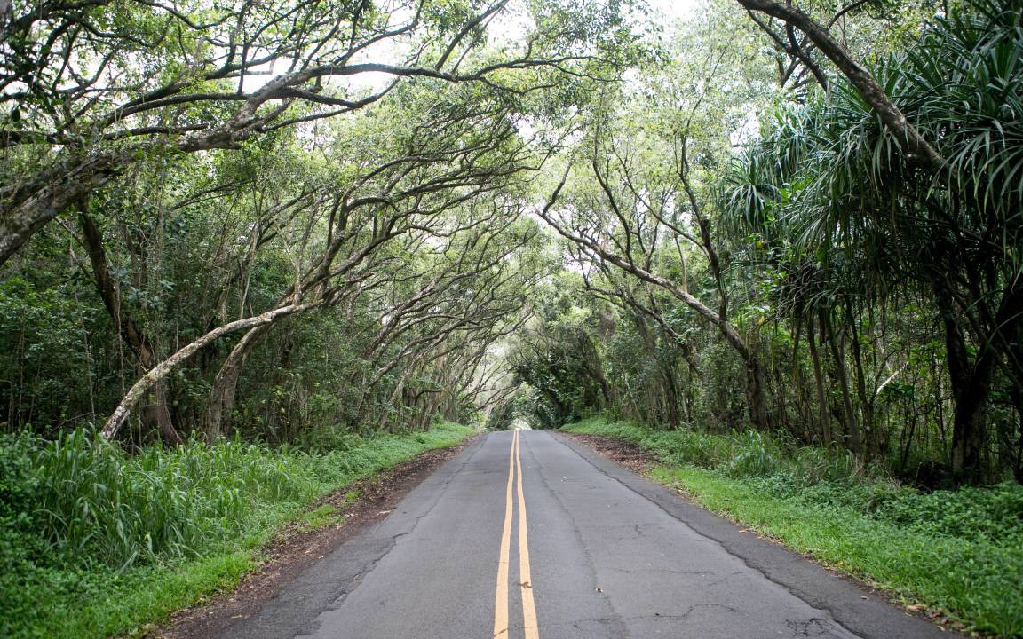 Photo of Others in Waikoloa