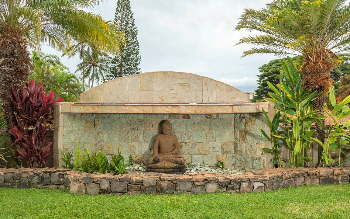 Photo of Others in Kaanapali